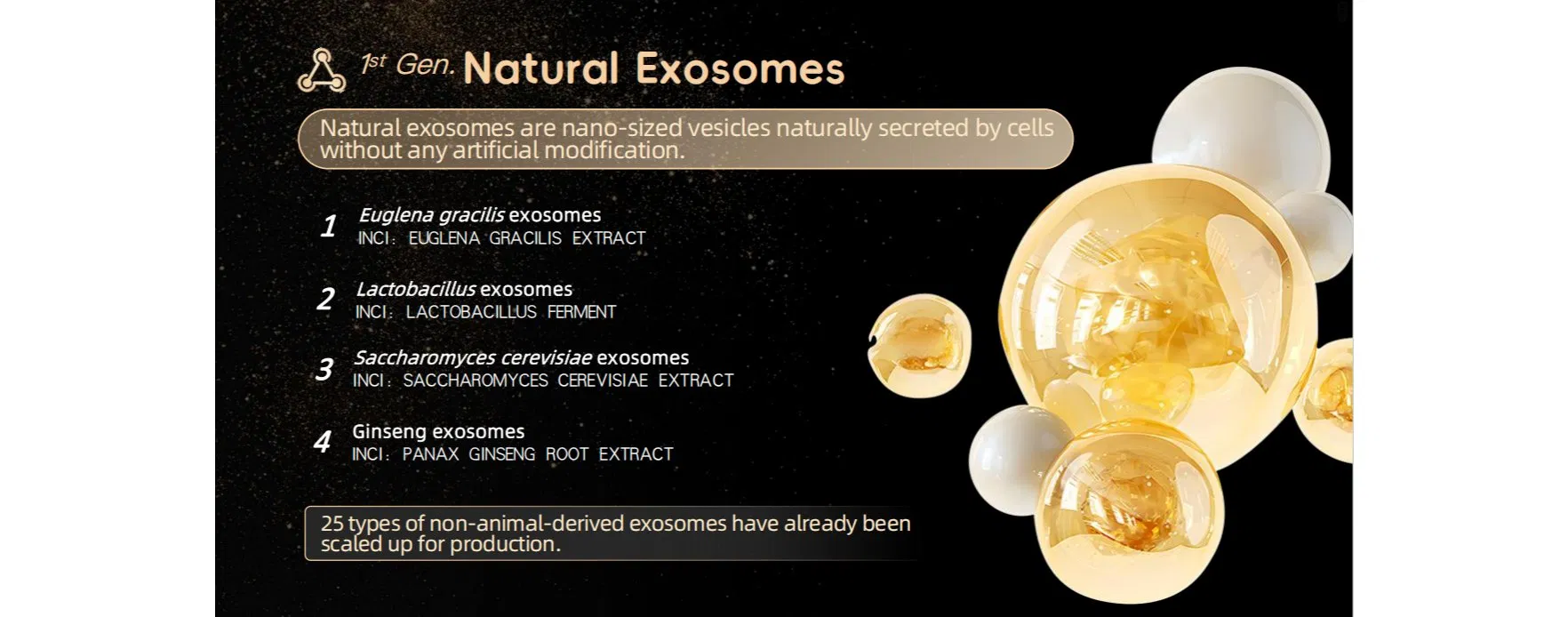 GMP Factory Exosomes Extracellular Vesicles Hair Growth Skin Booster Plant Extracts Ferment for Cosmetics