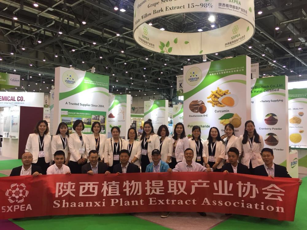 Organic Broccoli Powder Broccoli Extract 1-99%