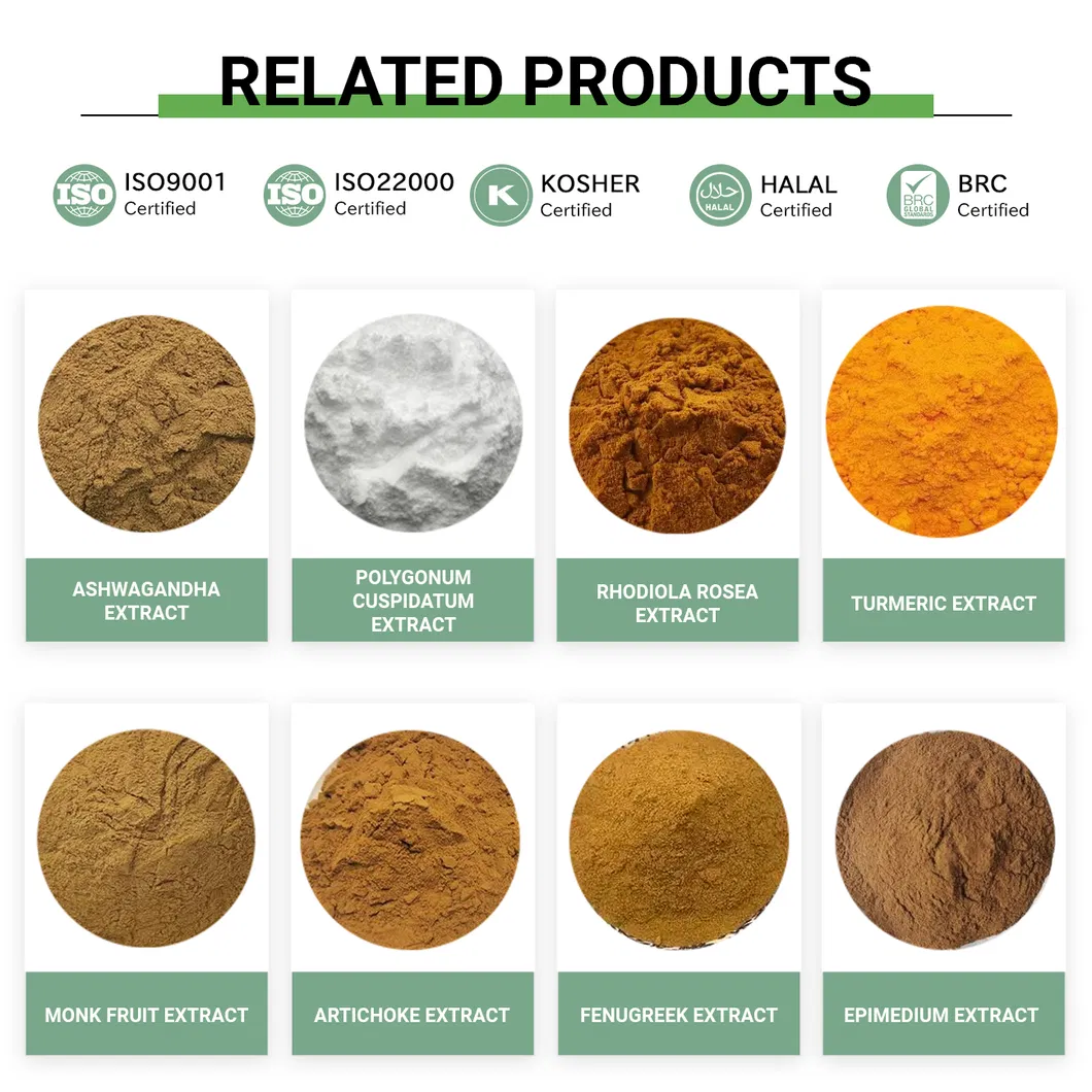 Natural Herbal Plant Extract Health Care Ashwagandha Extract