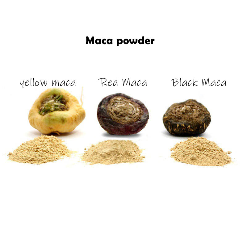 Bulk Maca Root Extract Powder 10:1 Maca Root Extract For MEN HEALTCARE