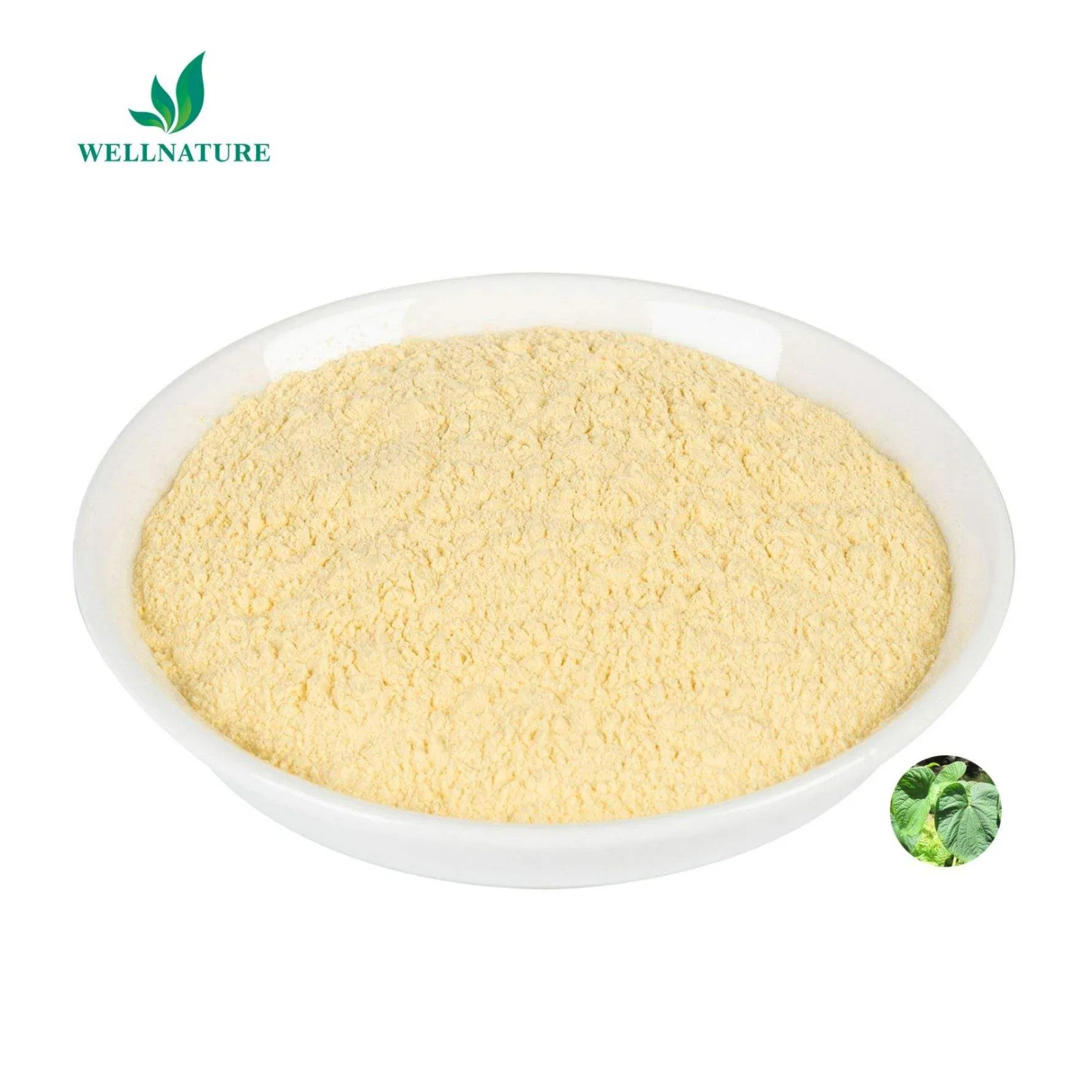 Standardized Kava Extract Powder 30% Kavalactones for Dietary Supplements with GMP