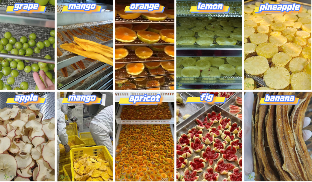 Mango Drying Case