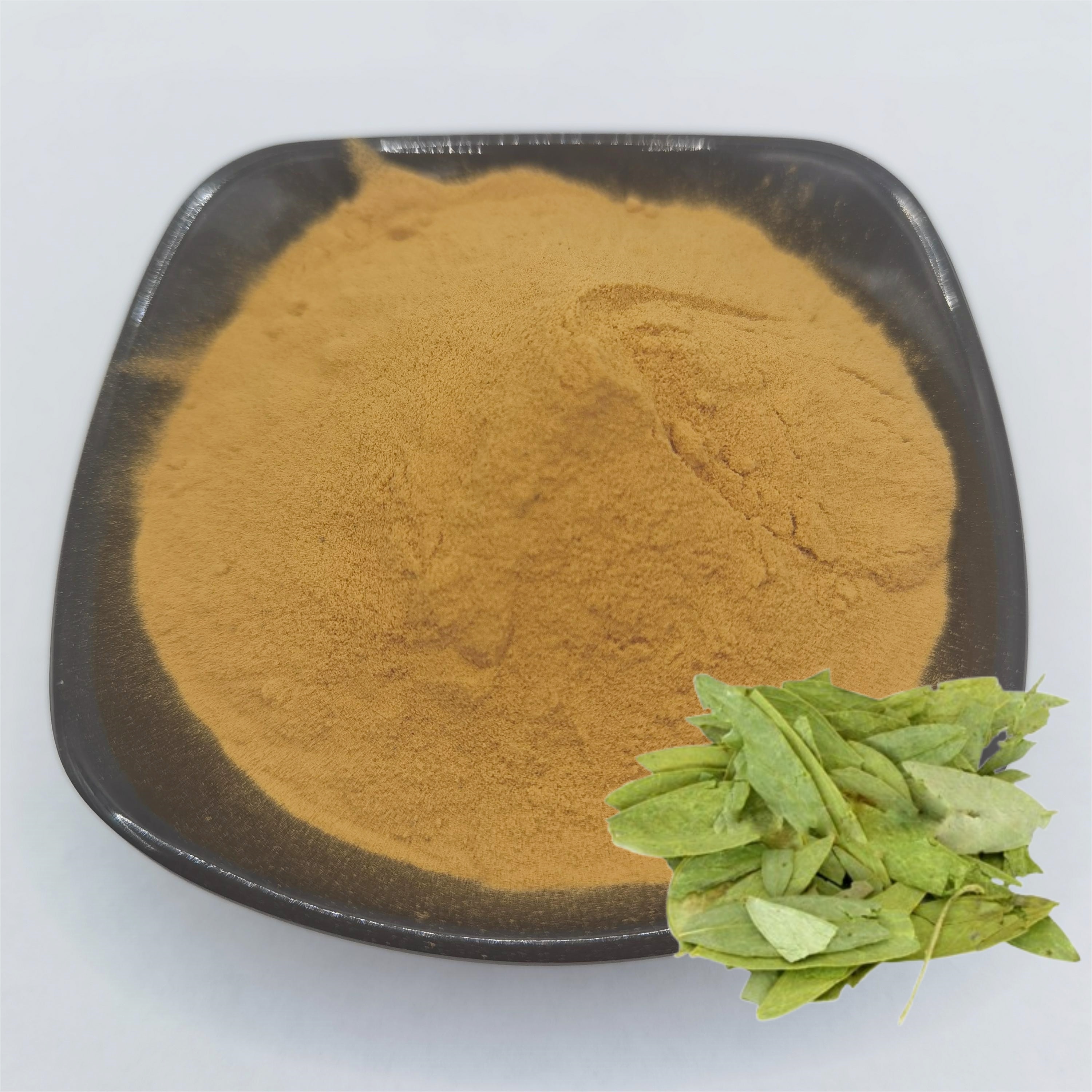 100% Pure Natural Senna Leaf Extract 10:1 Food Grade Water Extracted Packaged in Drum