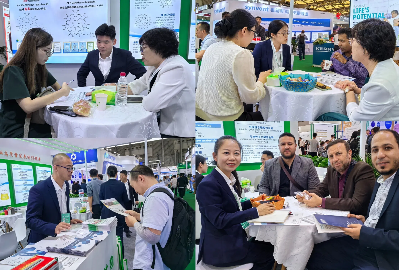Industry exhibition presence 2
