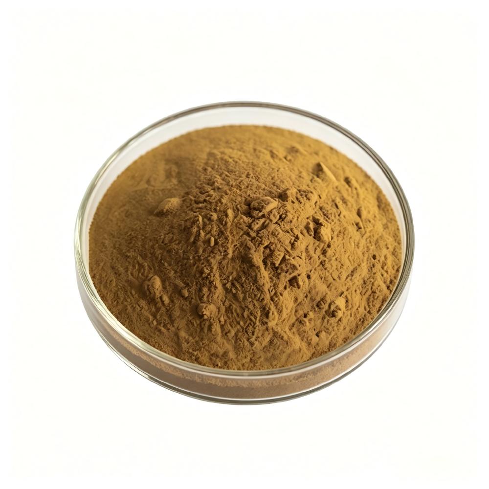 Factory Bulk Supply Ganoderma Lucidum Extract 10:1 Reishi Mushroom Powder Water Soluble Herbal Raw Material