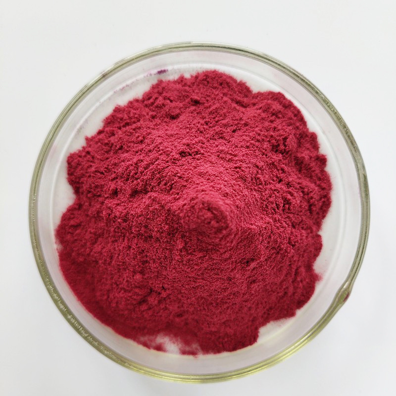 Food Grade Vegetable Powder Natural Anthocyanins Black Elderberry Fruit Extract Powder Elderberry Fruit Powder