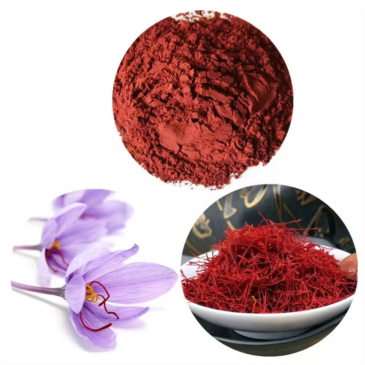 Top Grade Saffron Crocus Sativus Extract Powder 10: 1 20: 1 Saffron Flower Extract