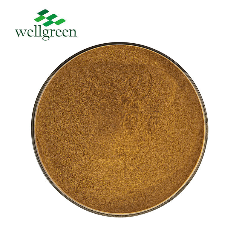Factory Supply Chrysanthemum Indicum Flower Extract 10% Flavonoid Chrysanthemum Extract