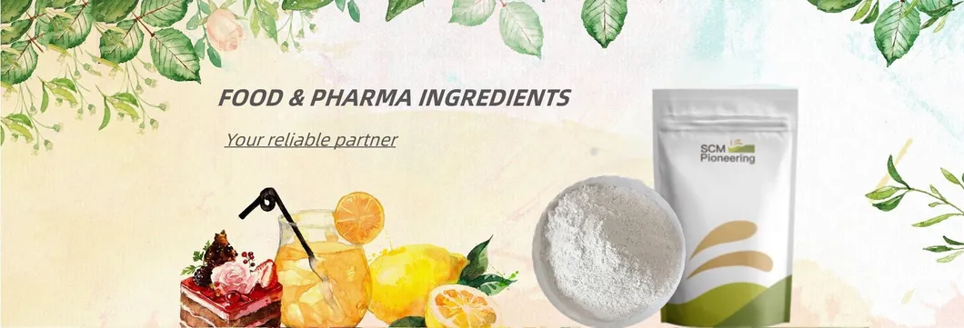 Natural Organic Gingerols Ginger Extract Powder Banner