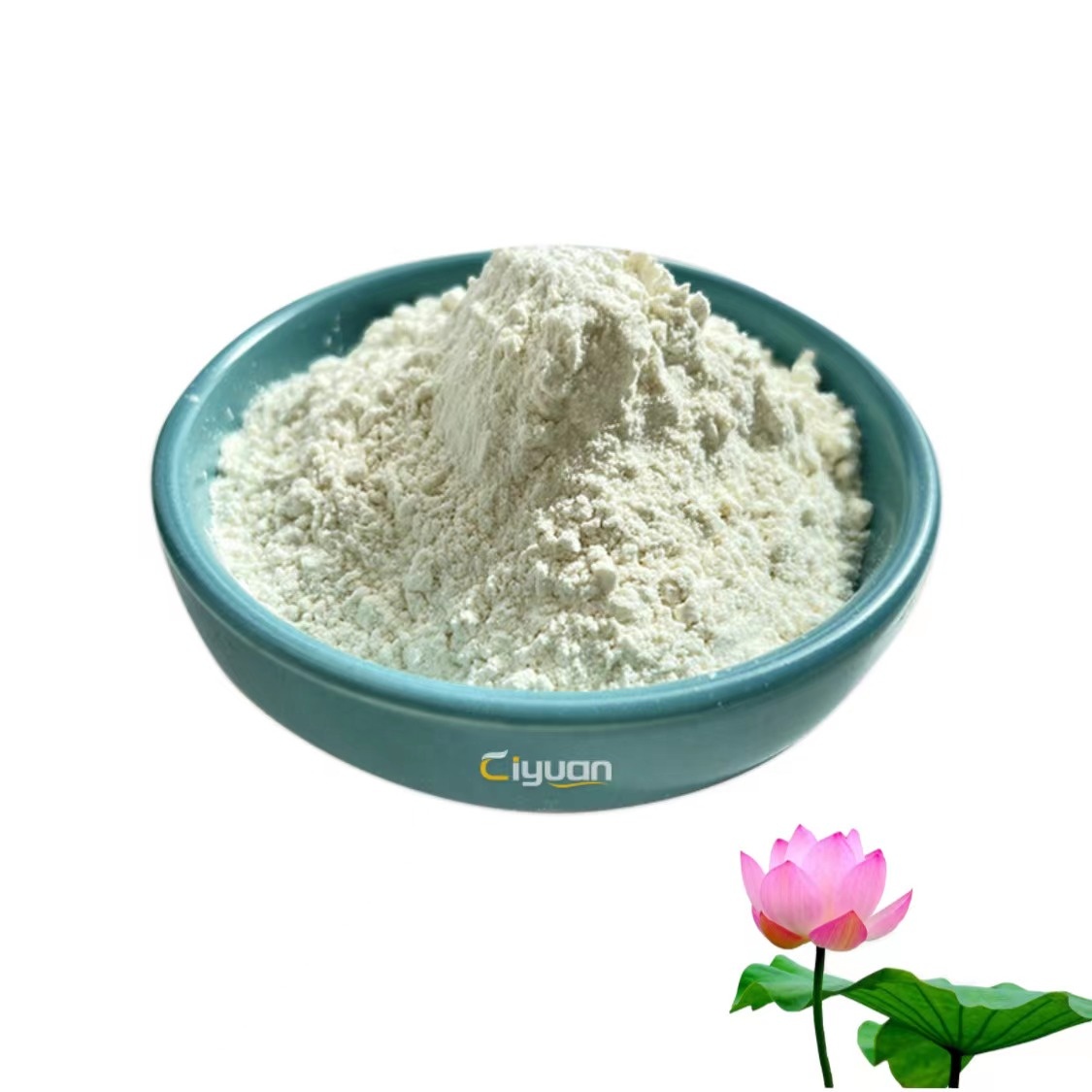 Ciyuan Factory Supply High Quality Lotus Leaf Extract
