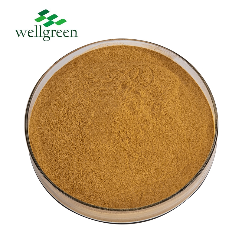 Factory Wholesale Supply Natural Mushroom Extract 10%-50% Active Hexose Correlated Compound Powder Ahcc