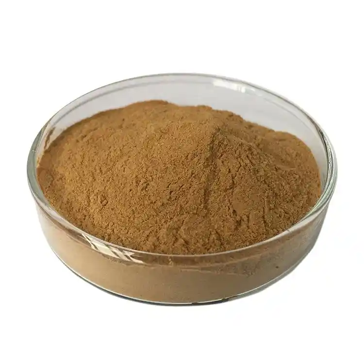 Best Price Organic Bulk Monk Fruit Extract 80% Mogroside V Natural Herbal White Powder Sweetener Certified Halal
