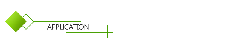 Application icon