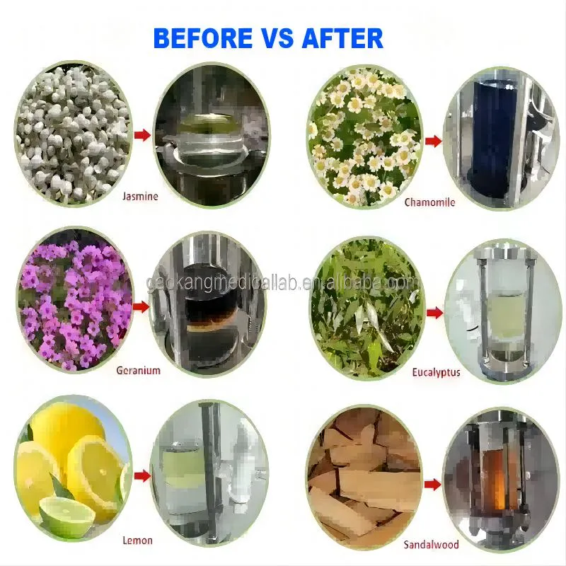 Plant Essential Oil Extraction Machine Detail View