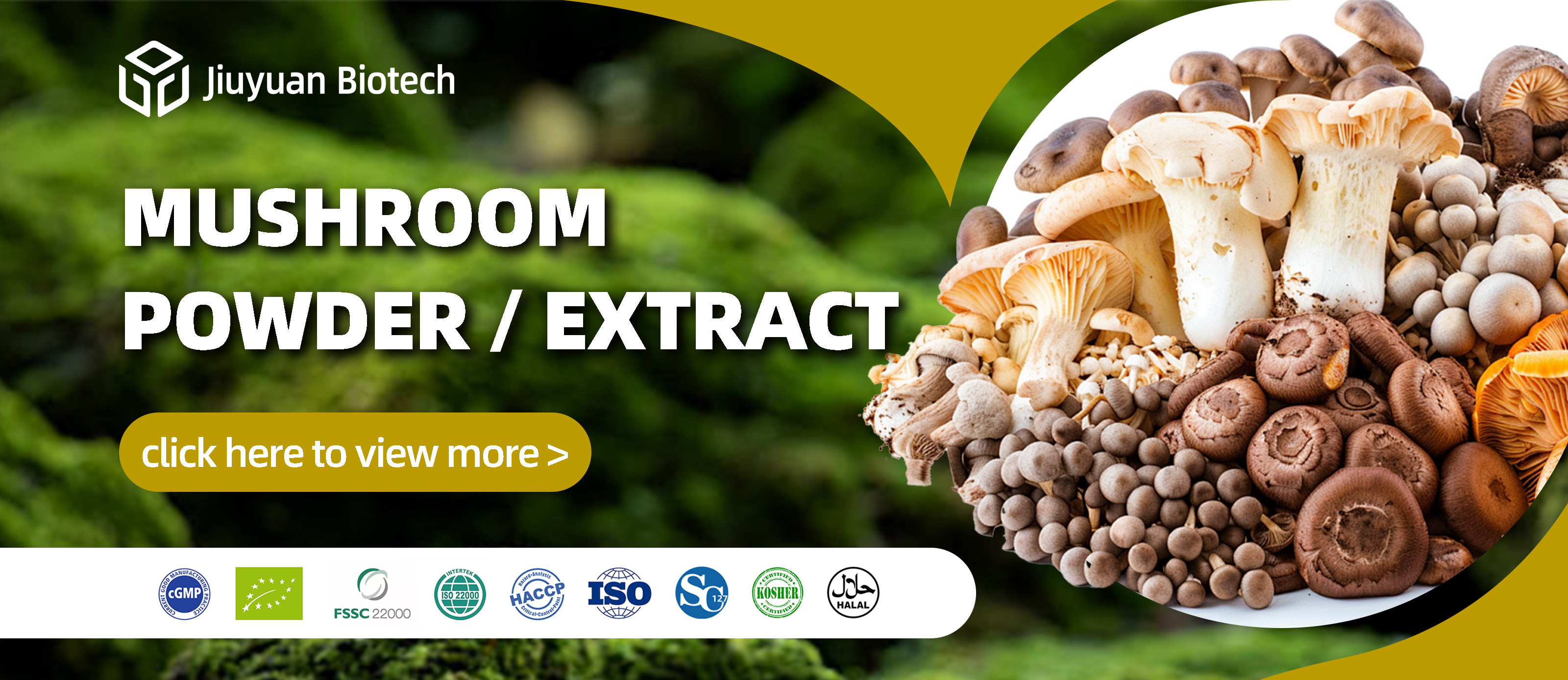 Shiitake Mushroom Extract