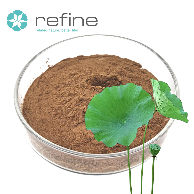 High Quality Lotus Leaf Extract Powder Nuciferine 2% 4% 98% Natural Lotus Leaf Extract for Weight Lose