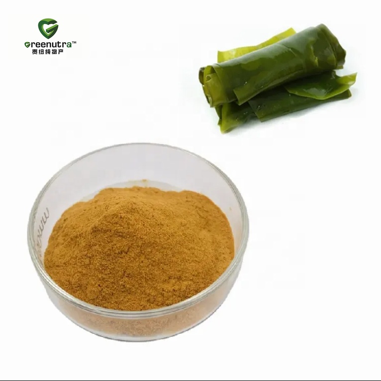 Cosmetic Grade Seaweed Extract Powder 10:1 Natural Marine Plant Concentrate for Skin Care and Personal Care Use