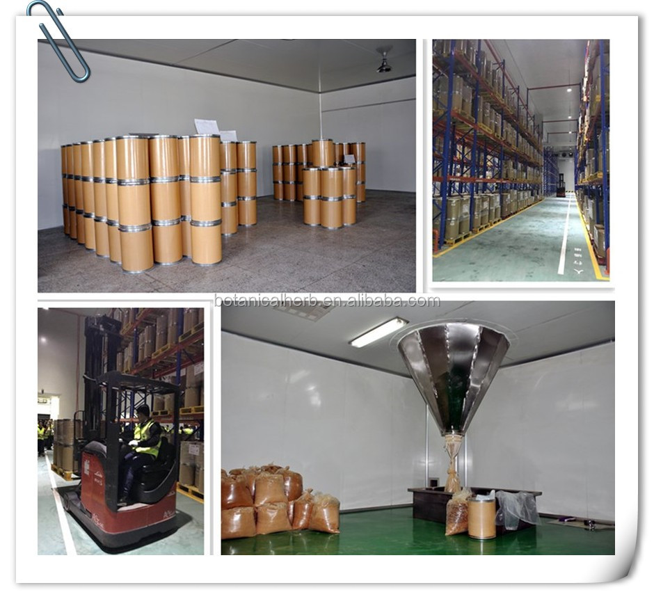 B.C.I Supply High Purity Seaweed Marine Algae Extract Seaweed Organic Granular Fertilizer Seaweed Extract