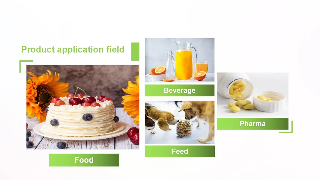 Wholesale Price Ginger Extract 10: 1 Food Grade Ginger Extract Powder