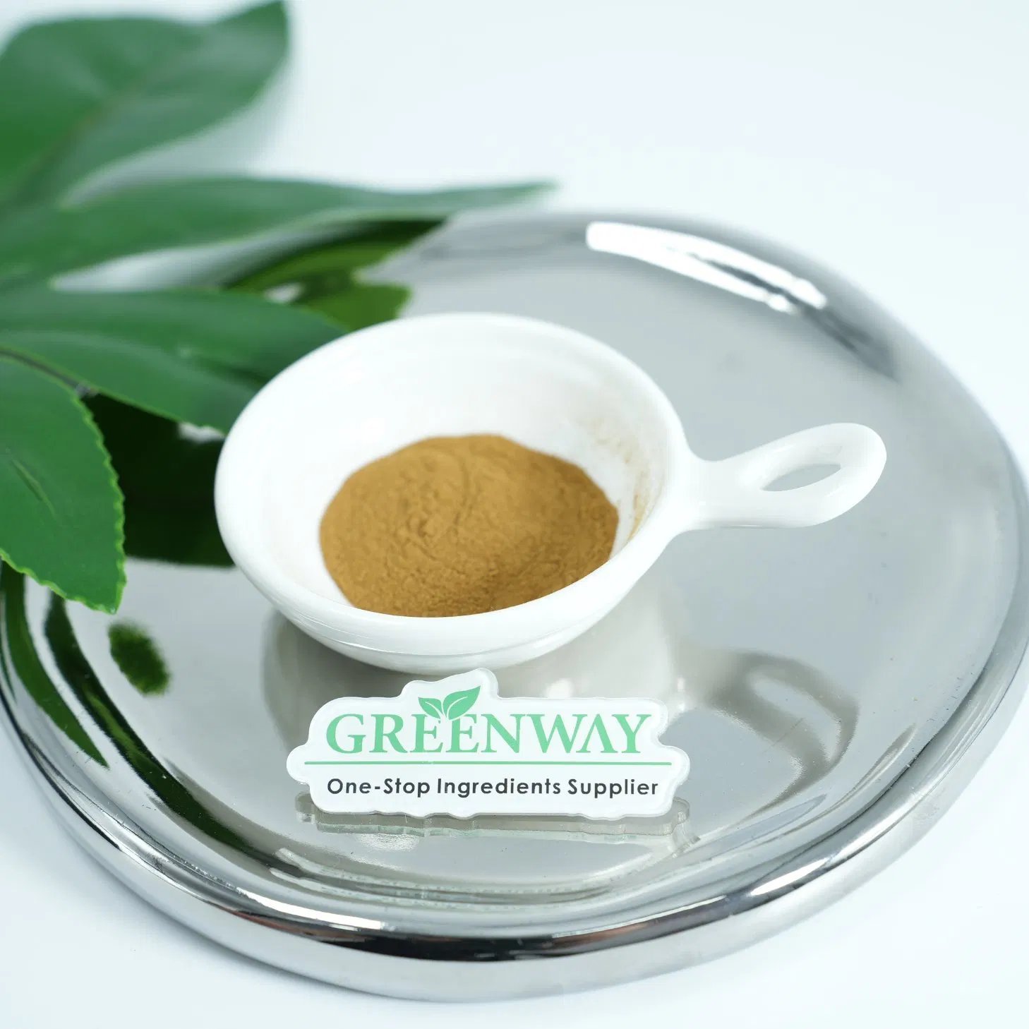 Cosmetic Grade Plant Herbal Extract Grape Seed Extract Vitis Vinifera (Grape) Seed Extract for Anti-Aging