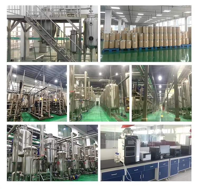 Mulberry Fruit Powder Factory Wholesale Mulberry Fruit Juice Powder Premium Plant Extract For Health &amp; Wellness