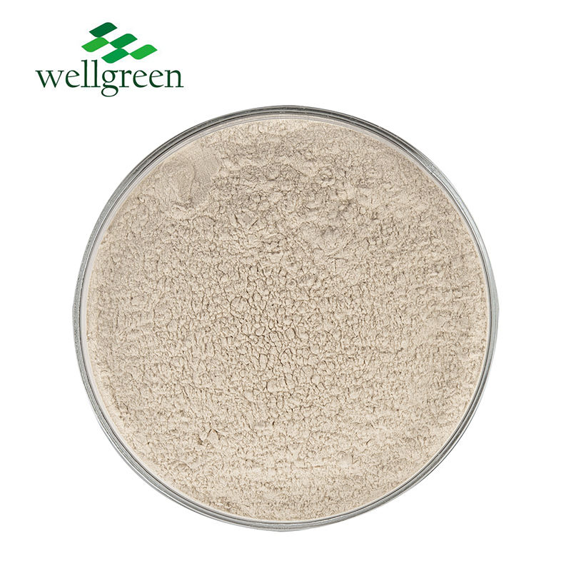 Natural Herbal Supplement Boswellia Serrata Extract Powder Frankincense Resin Extract Boswellic Acid 65%