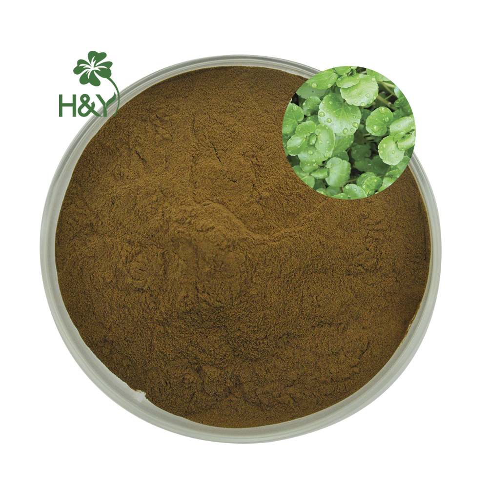 Bulk Supply Pure Nature Watercress Extract High Grade Watercress Extract Powder