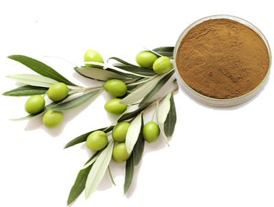 Olive Leaf Extract 10:1 Water Extract Powder 10%-80% Oleuropein Hydroxytyrosol 5% Health Food Grade