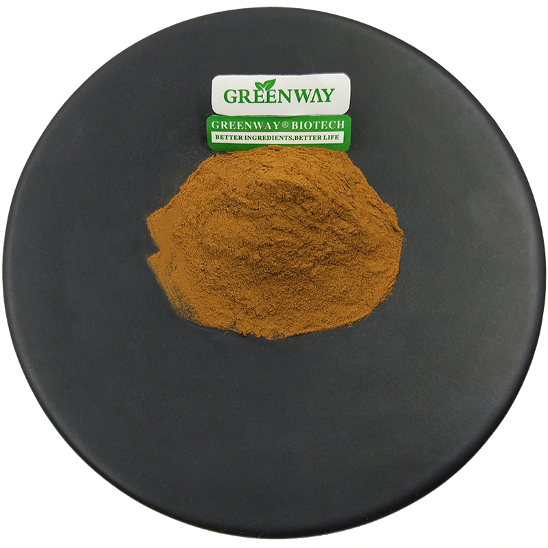 Health Supplement 100% Pure Natural Organic Herbal 10: 1 Brahmi/Bacopa Monniera Leaf/Bacopa Monnieri Extract Powder with 10% 20% 40% 45% 50% 60% 80% Bacopasides