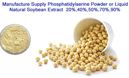 Phosphatidylserine Raw Material