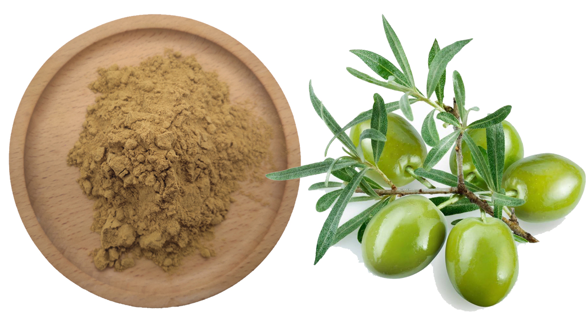 Olive Leaf Extract Powder