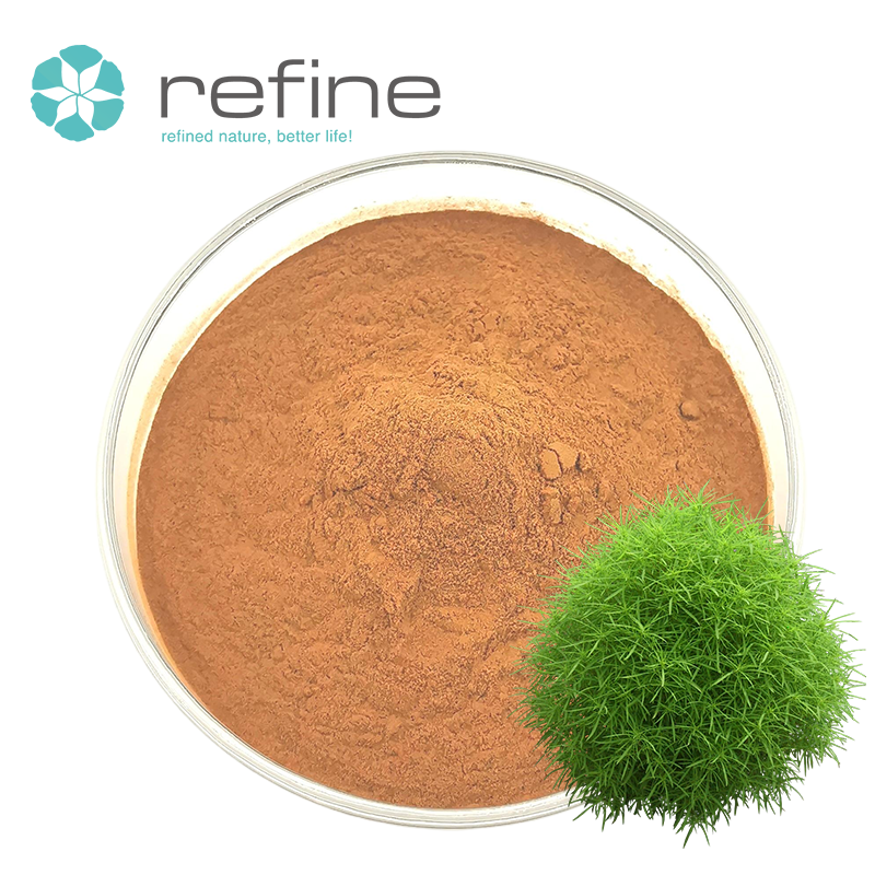 Hot Sale Lichen Usnea Extract Natural Botanical Supplement Ingredient for Cosmetic Application