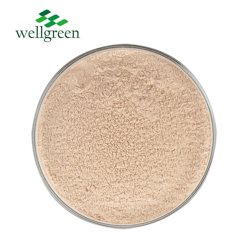 Standardized with Bioactive Avenanthramides for Anti-Itch, Redness Reduction and Cosmetic Actives Oat Extract