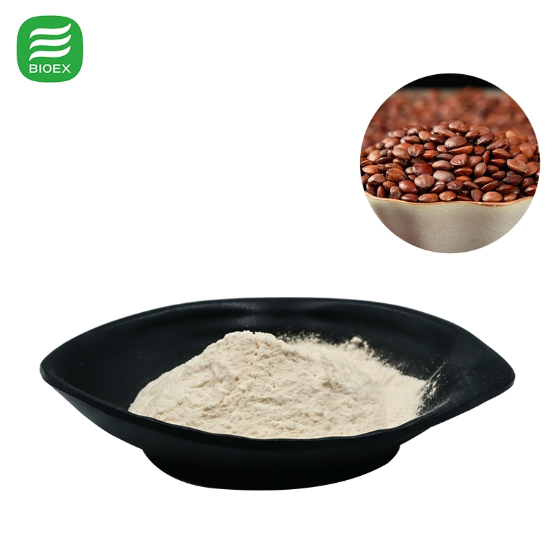 Pure Natural Jujuboside a 5% for Dietary Supplements Jujube Seed Extract