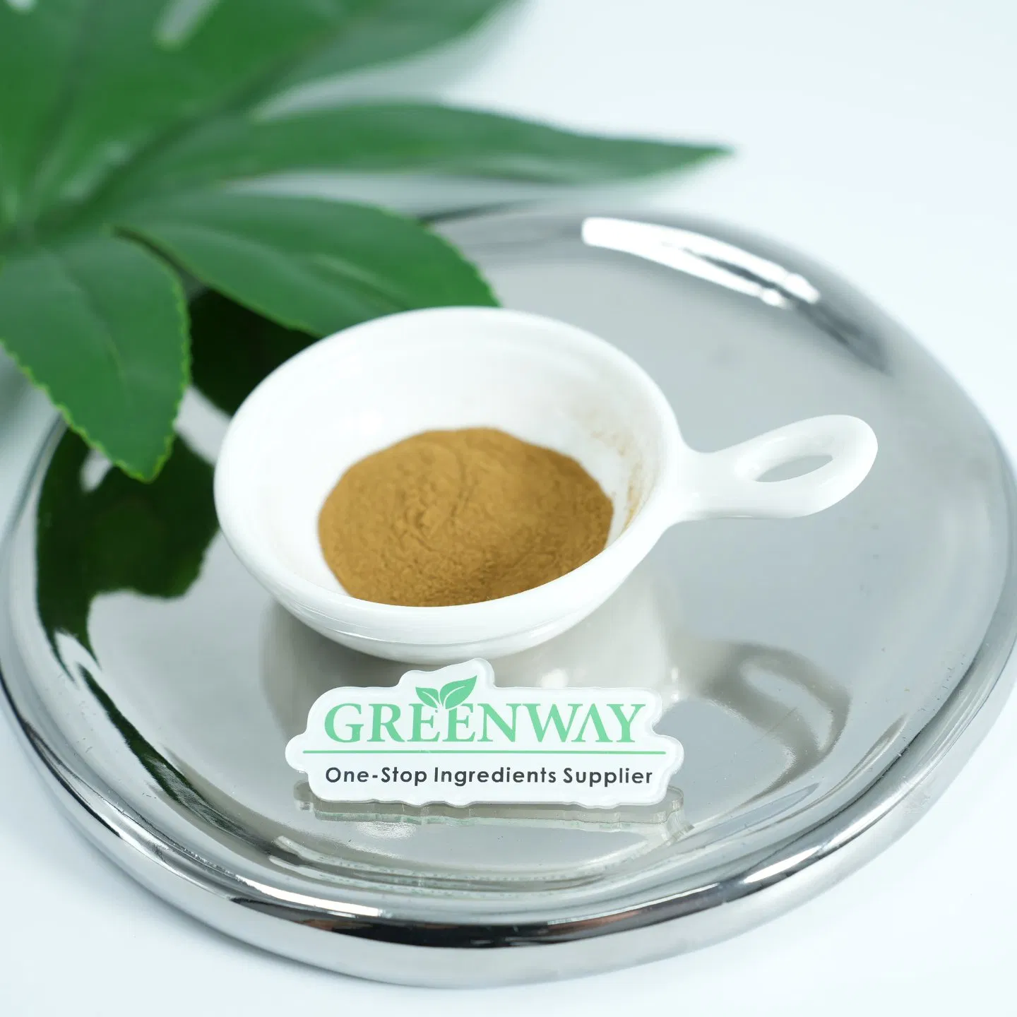 Cosmetic Grade Plant Herbal Extract Grape Seed Extract Vitis Vinifera (Grape) Seed Extract for Anti-Aging