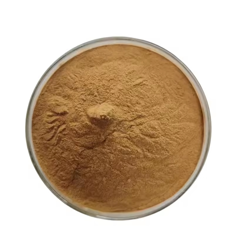 Broccoli Extract Powder Natural Sulforaphane Source Food &amp; Nutraceutical Grade