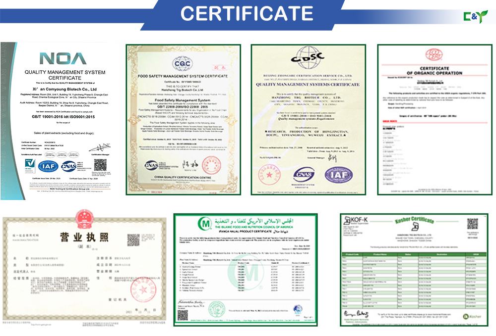 High Quality 10:1 20:1 Zostera Marina Leaf Extract Zostera Marina Extract Powder Zostera Marina Powder Extract