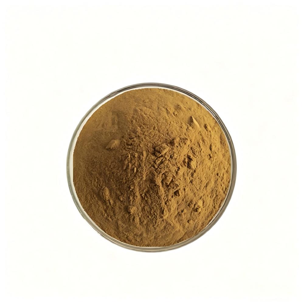 Factory Bulk Supply Ganoderma Lucidum Extract 10:1 Reishi Mushroom Powder Water Soluble Herbal Raw Material