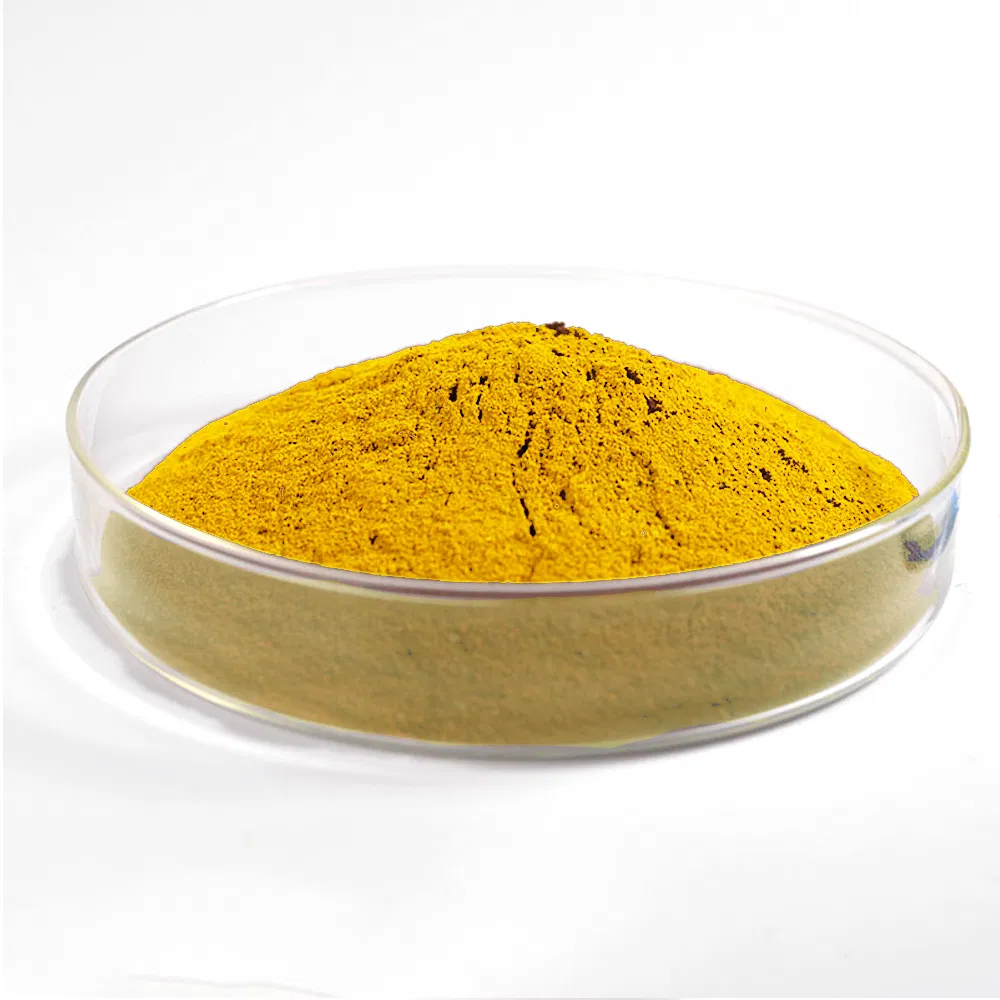 Hot Sale Liquid-Solid Extraction Food Grade Herbal Extract Brown-Yellow Lions Mane Extract