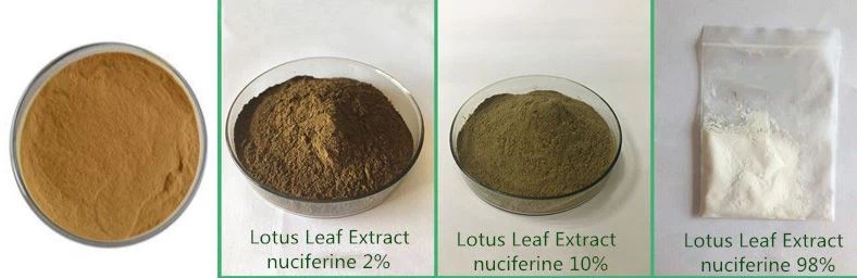 Lotus Leaf Extract Quality Specification