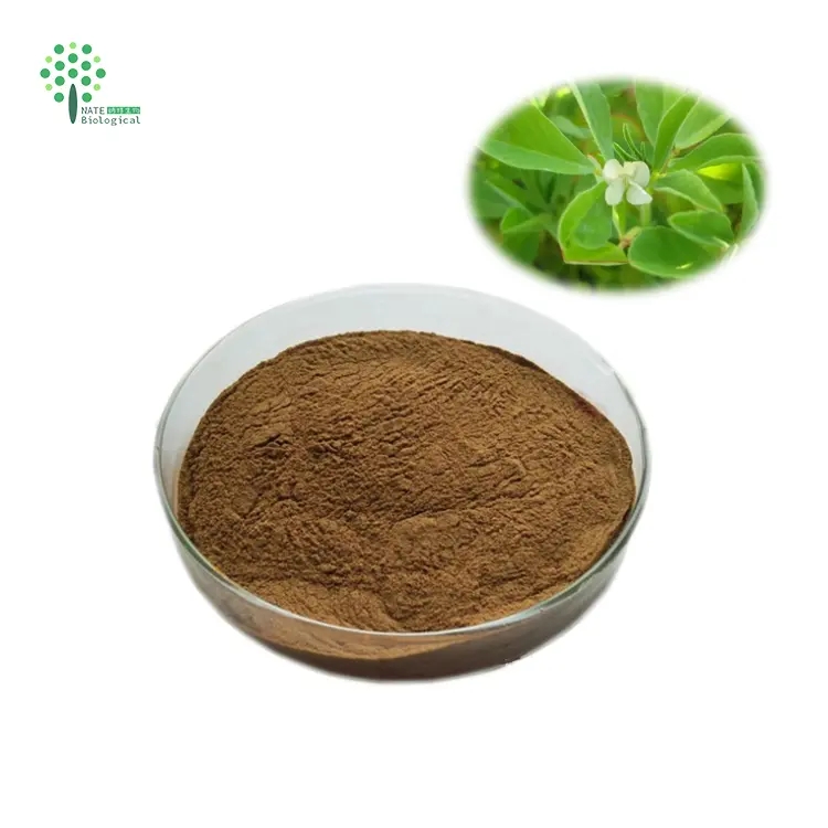 Factory Price XANT Natural Fenugreek Seed Extract Powder 10:1 Purity Trigonelline Health Grade 95% Pass 80 Mesh 25kg Drum