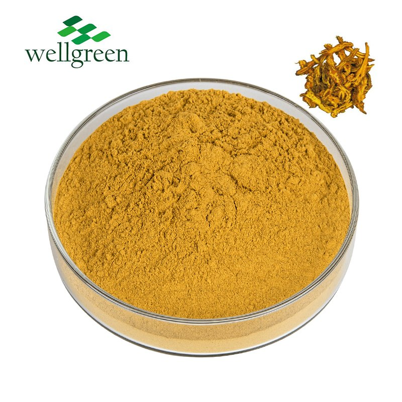 Natural Standardized Berberine HCl Powder for Feed Additive with GMP Certificate, Coptis Chinensis Extract