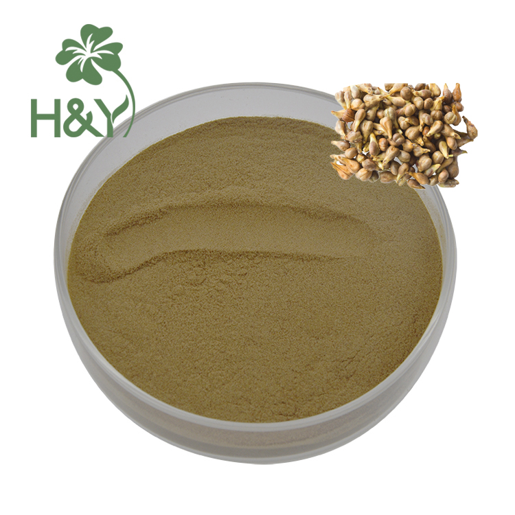 Grape Seed Extract Powder