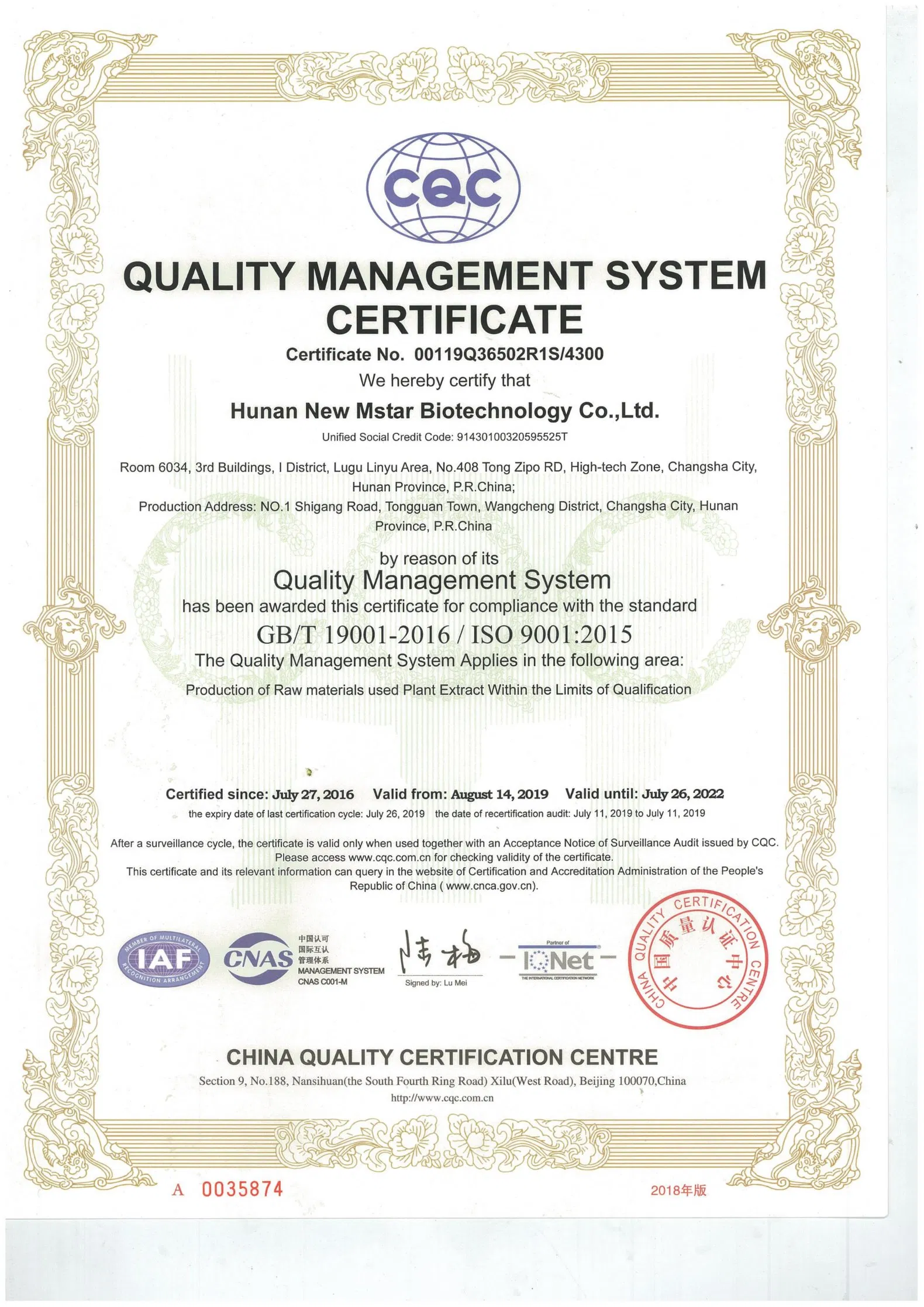 Best Price Gymnema Powder Extract Gymnema Sylvestre Standardized Extract Gymnema Sylvestre Extract