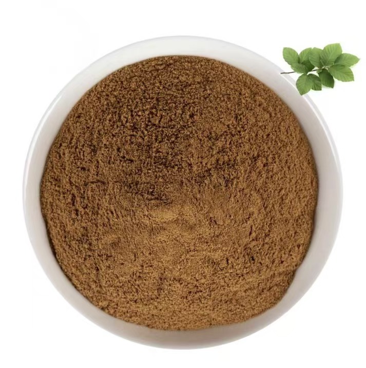Wholesale Free Sample High Quality Food Grade Eucalyptus Leaf Extract Powder Protein 10:1 30:1 100% Pure Natural Drum Packaging