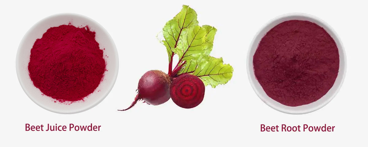 Beetroot Juice Solubility Demonstration