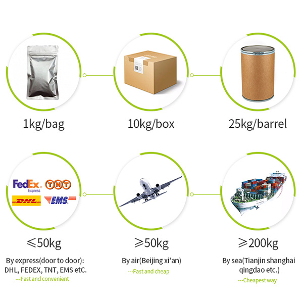 Private Label OEM Best Selling Pure Natural Moringa Leaf Powder Moringa Leaf Extract Powder for Sale