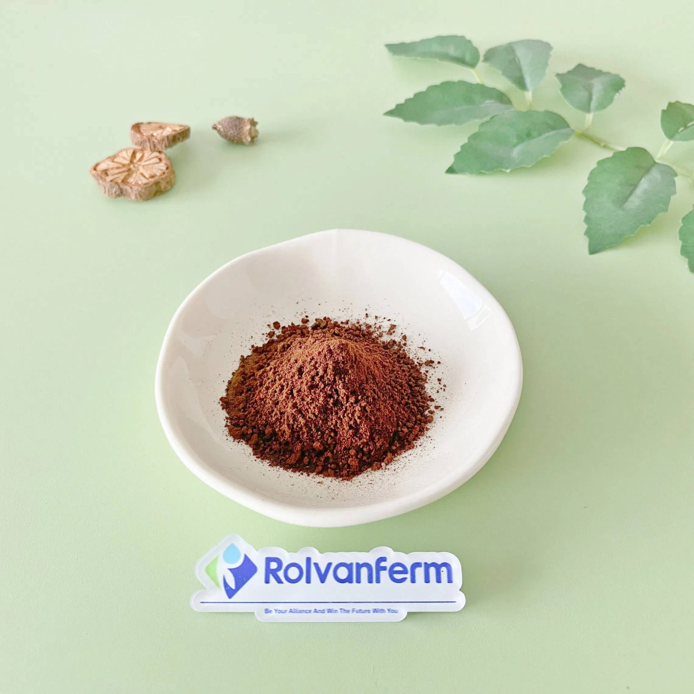 Anoectochilus Roxburghii Extract Golden Thread Orchid / Jin Xian Lian - Standardized Herbal Extract for Liver Health Blood Sugar Support &amp; Premium Supplement