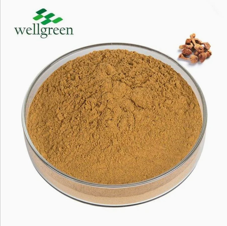 Standardized Oyster Mushroom Extract for Immune &amp; Metabolic Health Support (Pleurotus Ostreatus Extract)