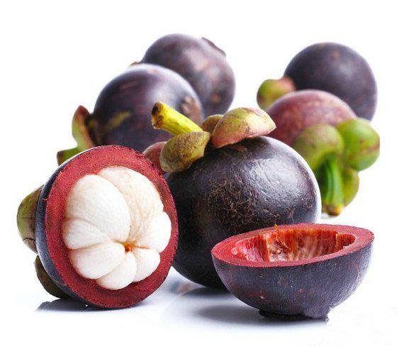 Mangosteen Extract Detail 2